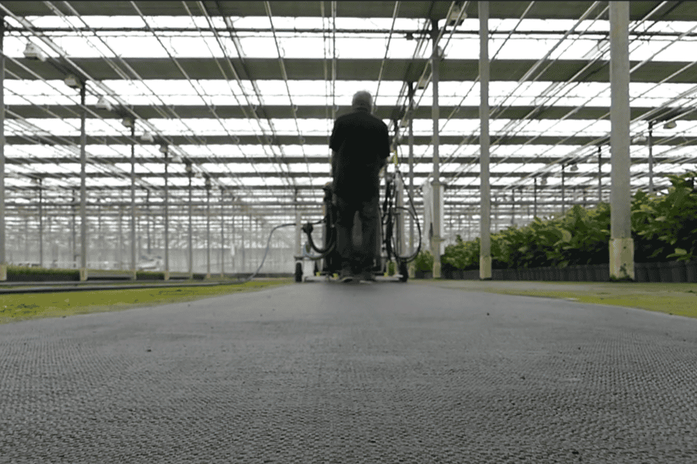 Stop algae growth at your nursery 6 important tips!